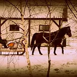 Zielone Zacisze