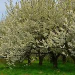 Zielone Zacisze 3* Murzynowo Koscielne