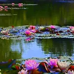 Bed & Breakfast Zielone Zacisze Murzynowo Koscielne