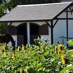Zielone Zacisze 3*