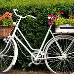 Zielone Zacisze Bed & Breakfast 3*