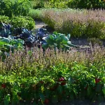 Bed & Breakfast Zielone Zacisze Murzynowo Koscielne