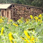 Bed & Breakfast Zielone Zacisze 3*