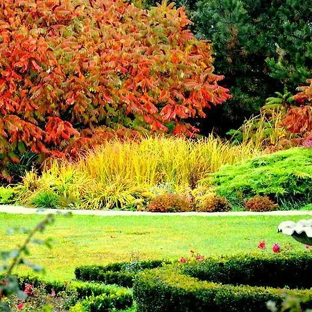 Zielone Zacisze Bed and Breakfast