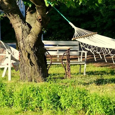 Zielone Zacisze Murzynowo Kościelne