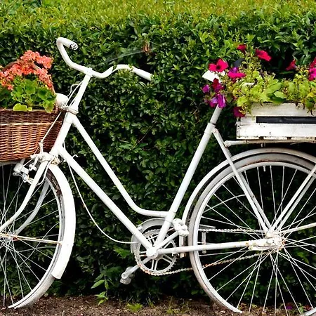 Zielone Zacisze Bed and Breakfast 3*