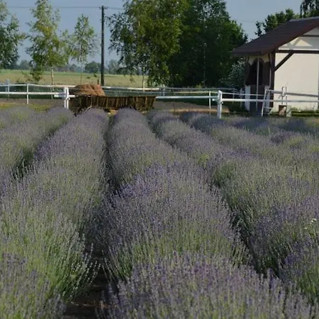 Zielone Zacisze Bed and Breakfast