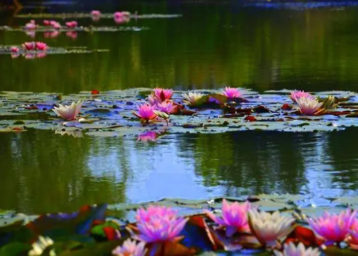Frühstückspension Zielone Zacisze Murzynowo Kościelne