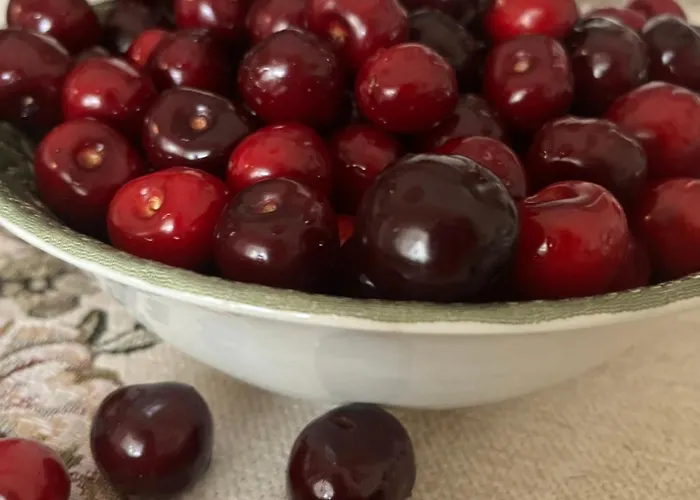 Frühstückspension Zielone Zacisze 3*