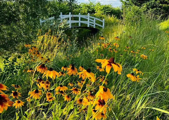Zielone Zacisze Frühstückspension Murzynowo Kościelne