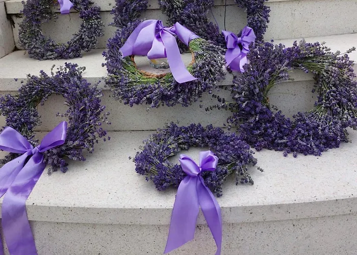 Zielone Zacisze Murzynowo Kościelne