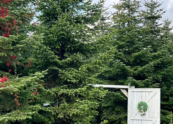 Zielone Zacisze Frühstückspension 3*