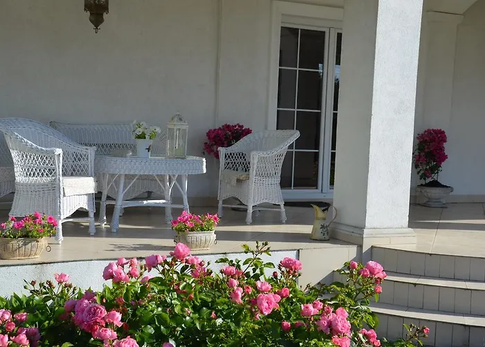 Zielone Zacisze Murzynowo Kościelne