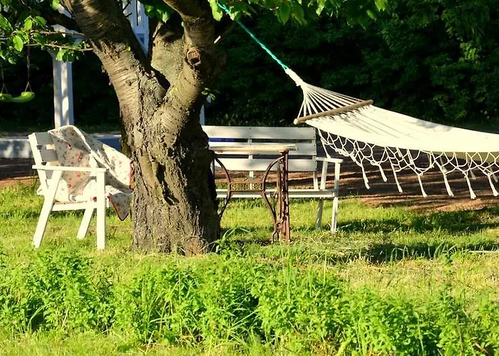 Zielone Zacisze Murzynowo Kościelne