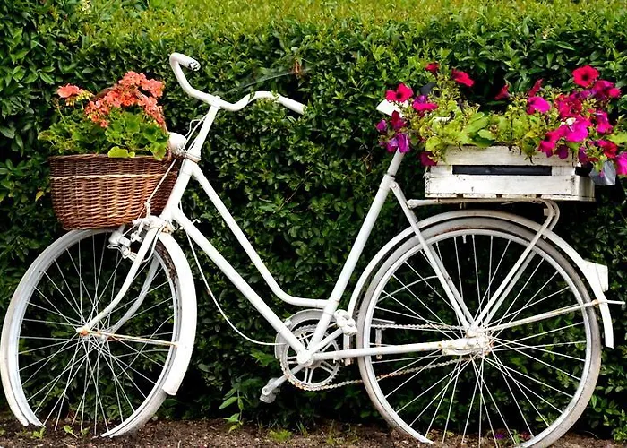 Zielone Zacisze Frühstückspension 3*