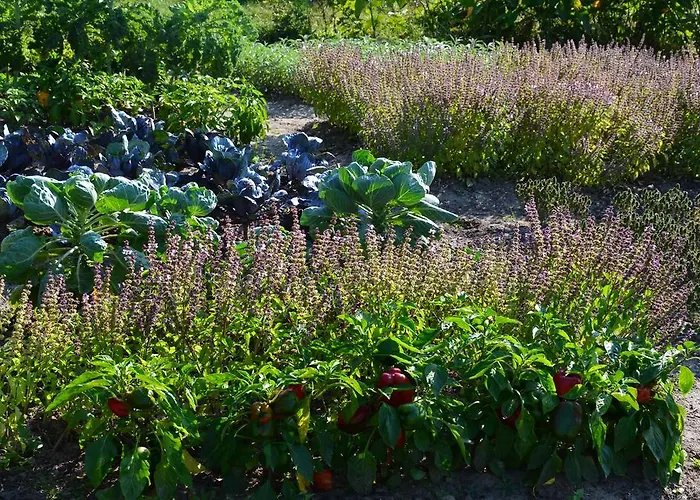 Frühstückspension Zielone Zacisze Murzynowo Kościelne