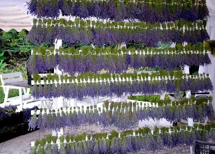 Frühstückspension Zielone Zacisze Murzynowo Kościelne