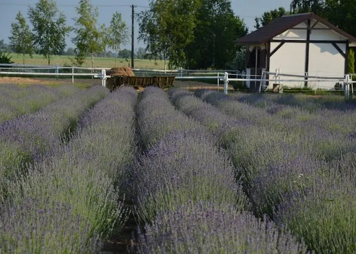 Zielone Zacisze Frühstückspension