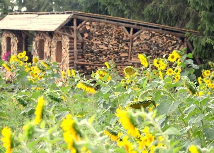 Frühstückspension Zielone Zacisze 3*